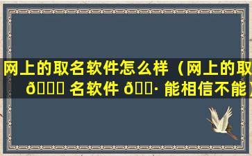 网上的取名软件怎么样（网上的取 🐈 名软件 🌷 能相信不能）